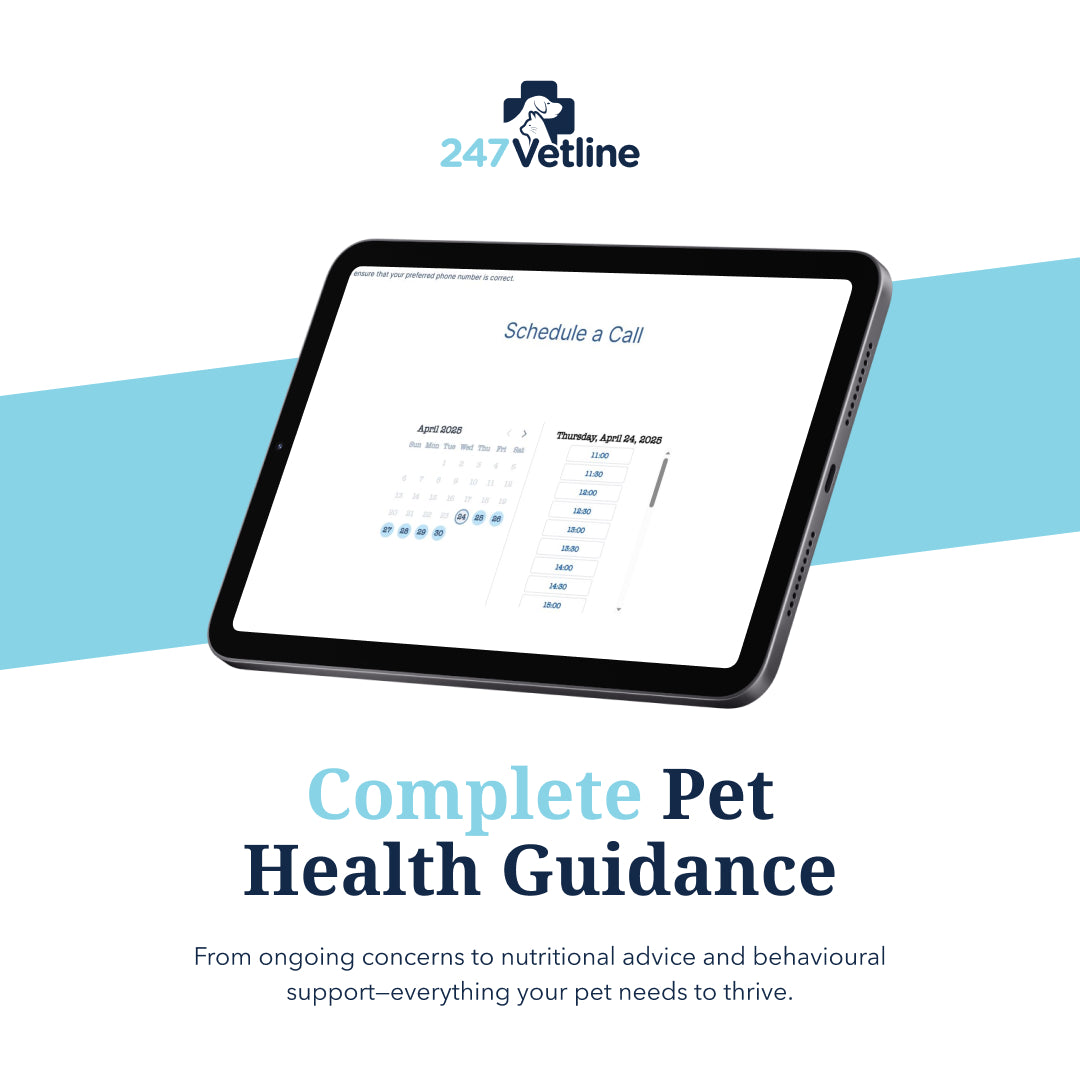 247VetLine: Online Video Vet Advice