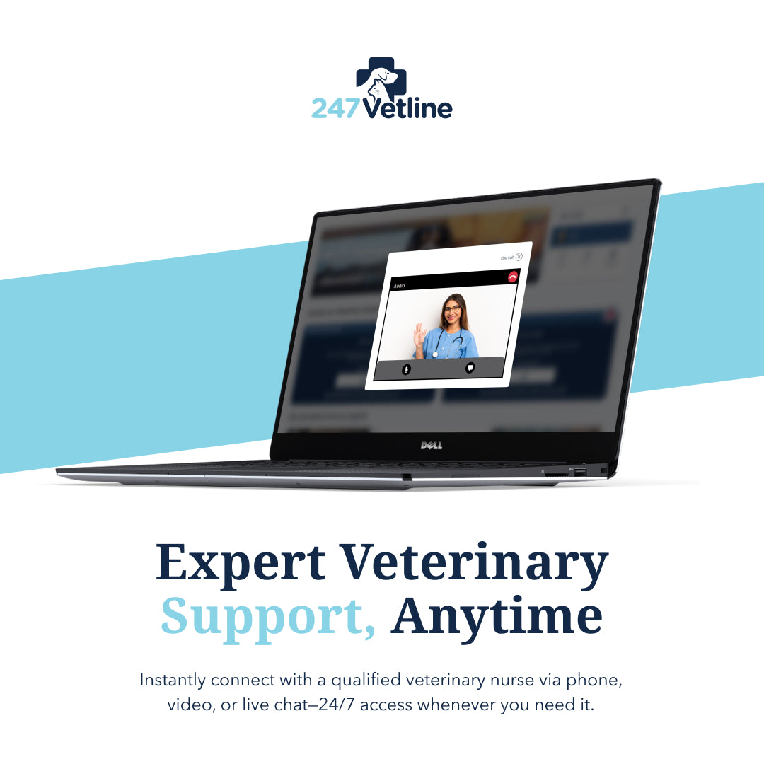 247VetLine: Online Video Vet Advice