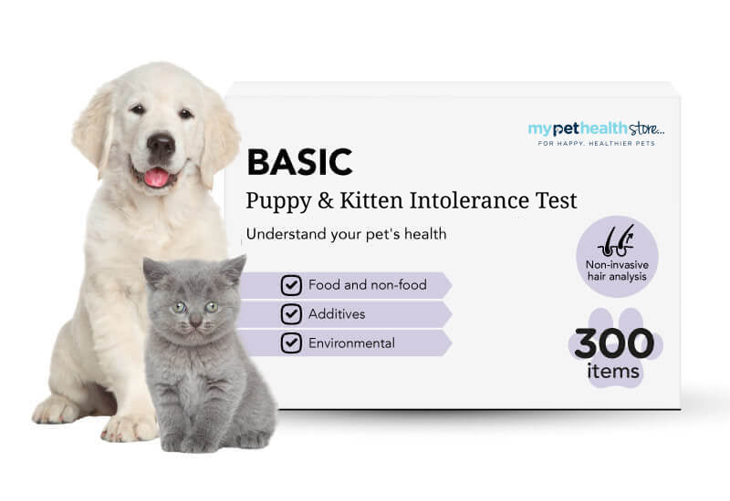 Basic Puppy & Kitten Intolerance Test